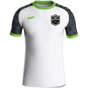 Trikot Iconic - Erwachsene