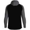 Kapuzenjacke Iconic - Erwachsene – Bild 2