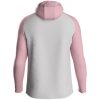 Kapuzenjacke Iconic - Erwachsene – Bild 2